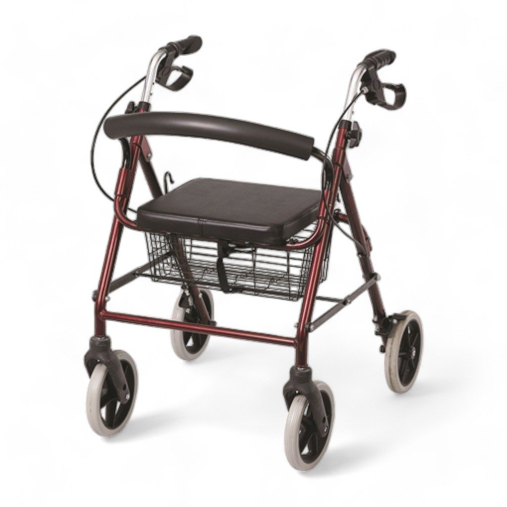 Poylin P580 Ekonomik Rollatör