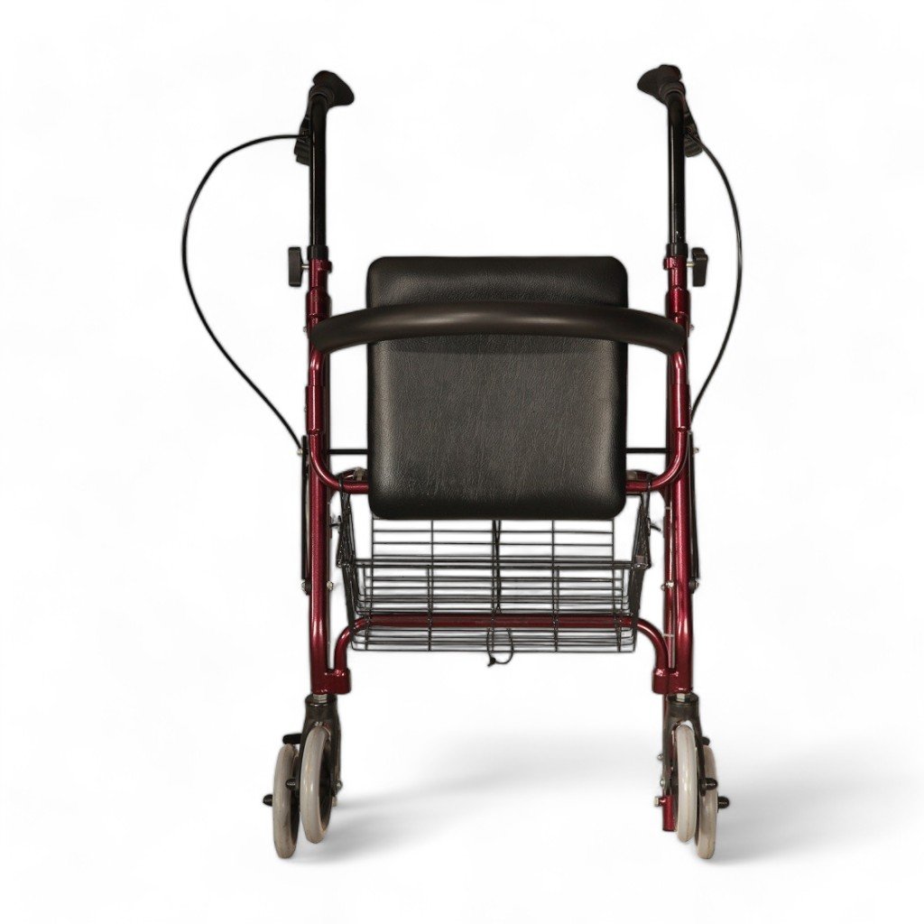 Poylin P580 Ekonomik Rollatör