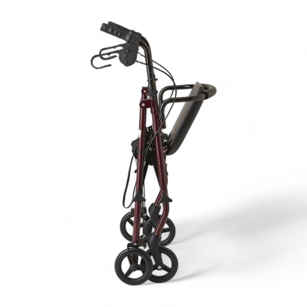 Poylin P580 Ekonomik Rollatör
