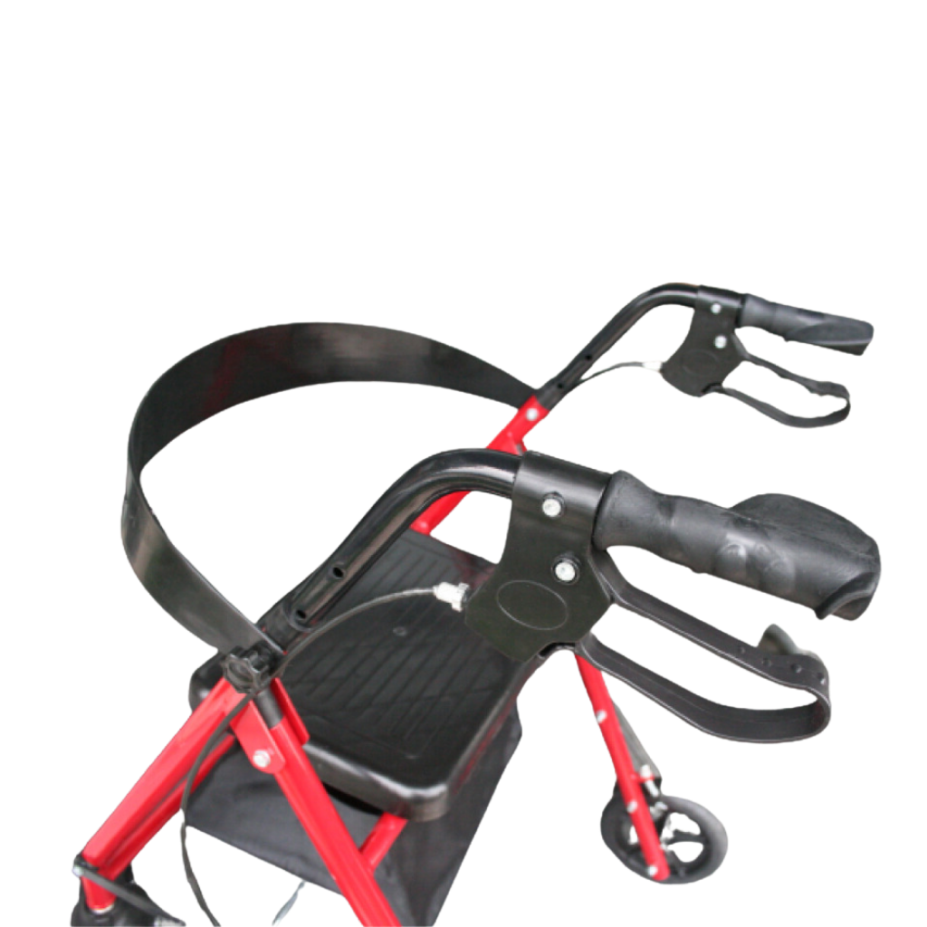 Poylin P580 Ekonomik Rollatör