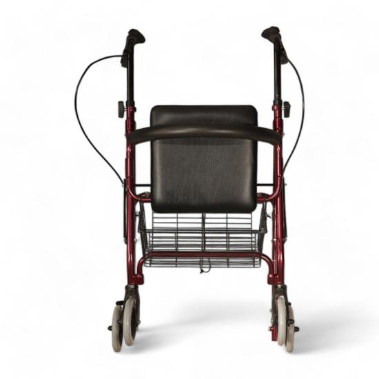 Poylin P580 Ekonomik Rollatör